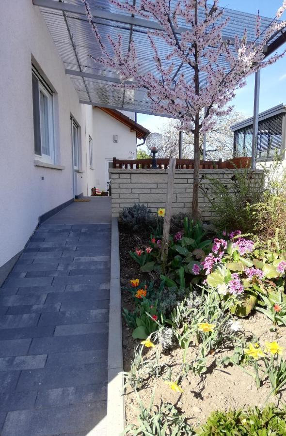 Ferienhaus Rauwolf Mit 2 Ferienwohnungen Roschbach 외부 사진