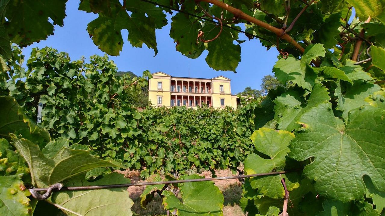 Ferienhaus Rauwolf Mit 2 Ferienwohnungen Roschbach 외부 사진